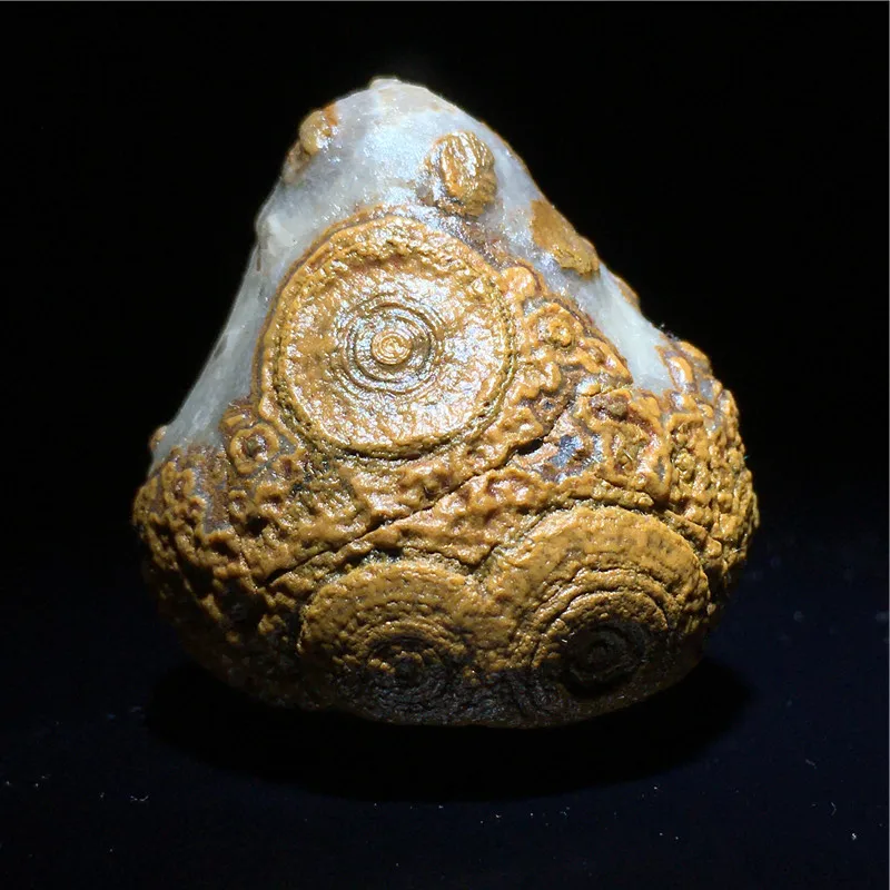 Beautiful Energy Stone Natural Alashan Gobi Agate Nine-Eye Stone Agate & Rough Stone Boutique Mongolia Original Colors & Shape