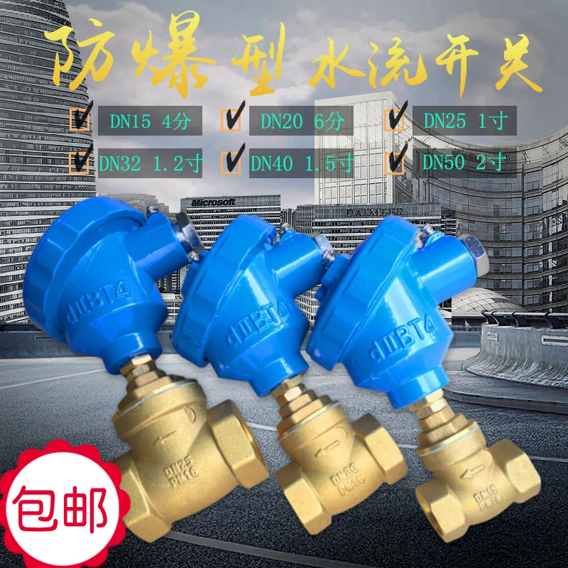 Explosion-proof Check Valve Baffle Type Normally Open Flow Signal Water Flow Induction Switch