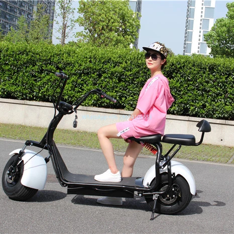 city scooter with removable battery 40km/h 55km