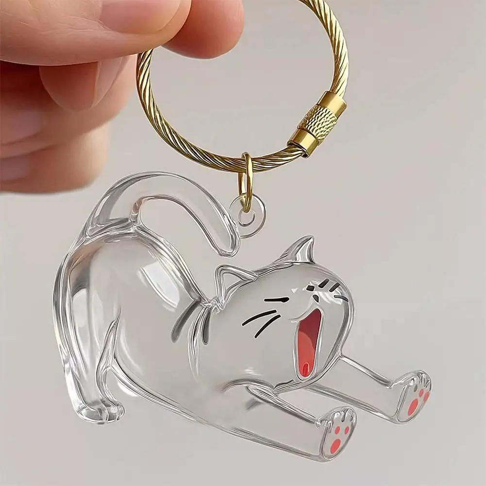 Transparent Cat Hair Capsules Pendent Kitten Fur Storage Box Souvenir Keychians Pet Siamese Cute Dog Hair Storage Key Ring