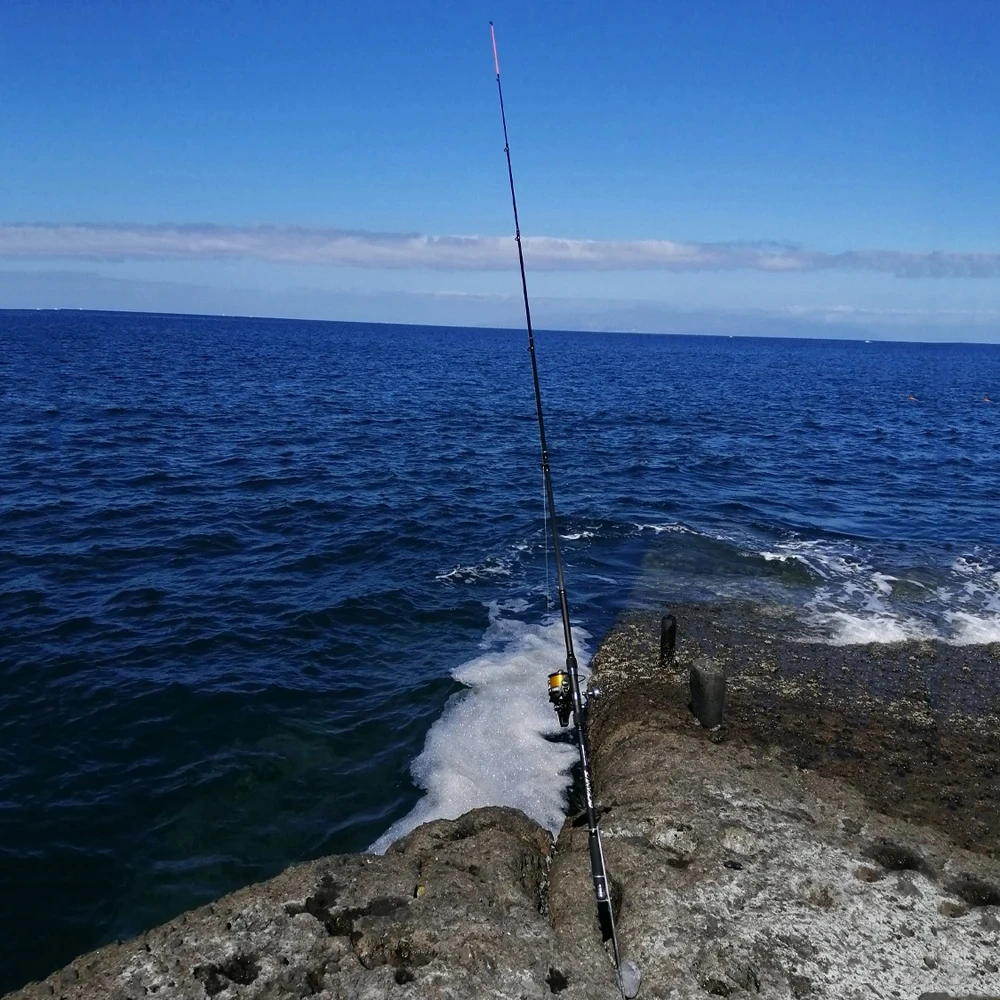 Imagem -02 - Carbono Vara de Pesca Telescópica Distância Ultra-light Jogando Varas Long Shot Pólo do Mar Viagem Carpa Isca de Pesca Tackle Preto de