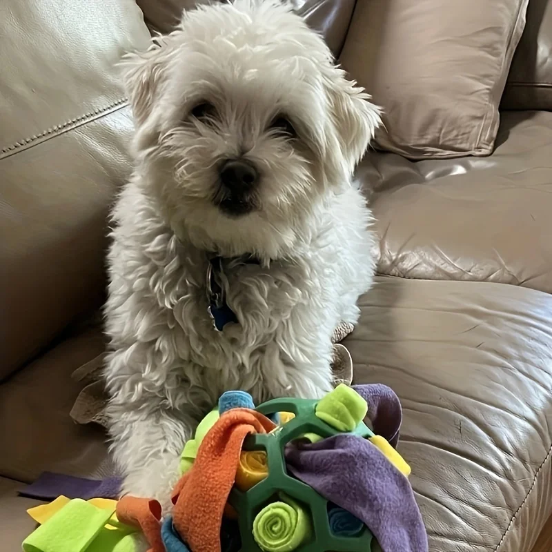 1 Stück Interaktives Hundespielzeug - Schnüffelball zum Verstecken von Leckereien - Gummi-Puzzleball für Geistige Stimulation Haustierzubehör – Detail 6