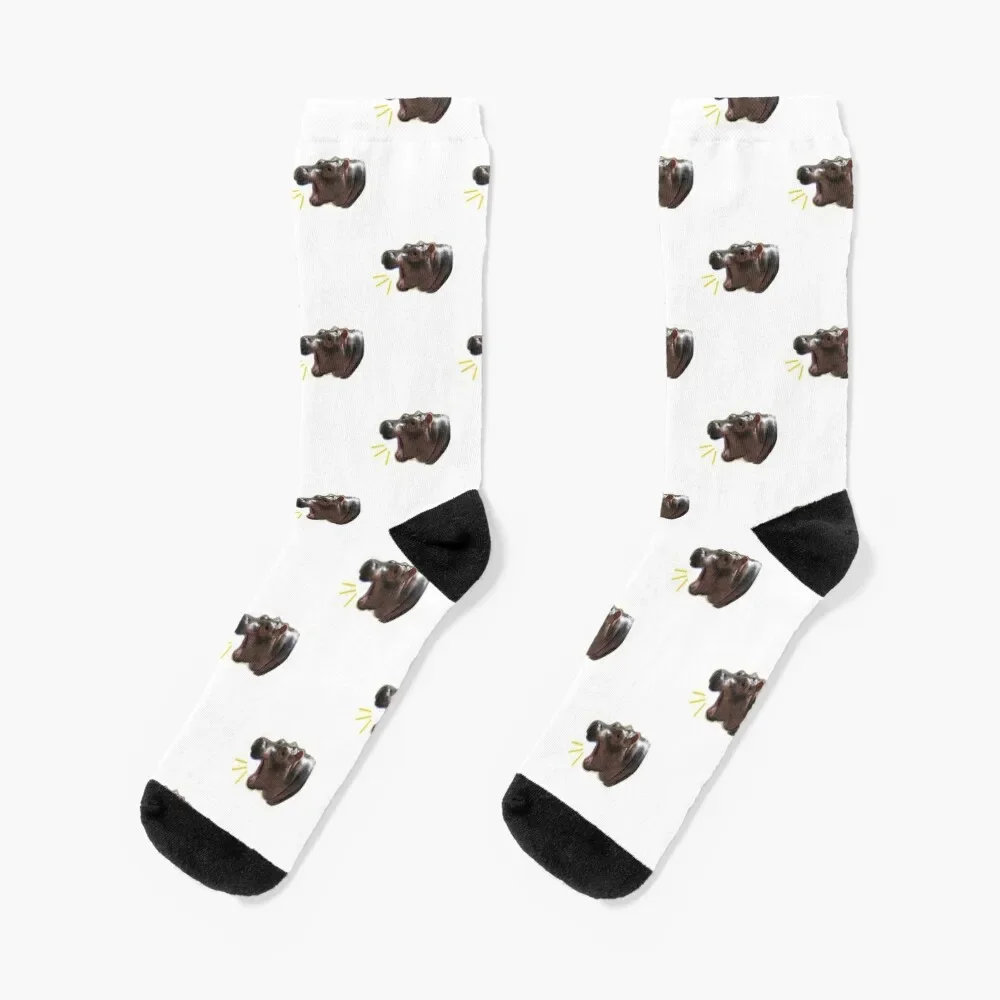 

sassy fiona the hippo Socks professional running Stockings compression luxury Socks Man Women's