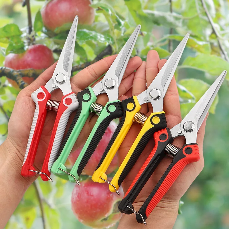 

O50 Pruner Gardening Hand Pruning Shear Straight Stainless Steel Blades Ultra Garden Scissors For Flowers Harvesting