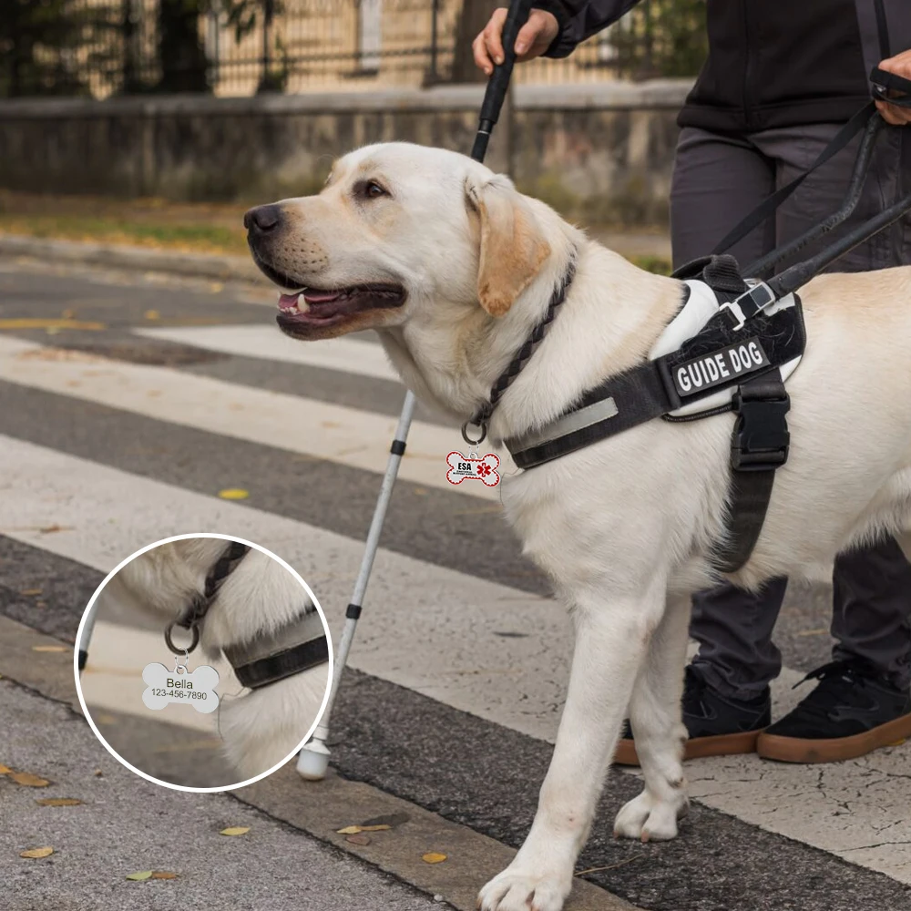 Personalisierte ESA-Hundemarke aus Edelstahl – Individuelle Emotional Support Animal (ESA) Haustier-ID-Anhänger in Knochenform – Detail 22