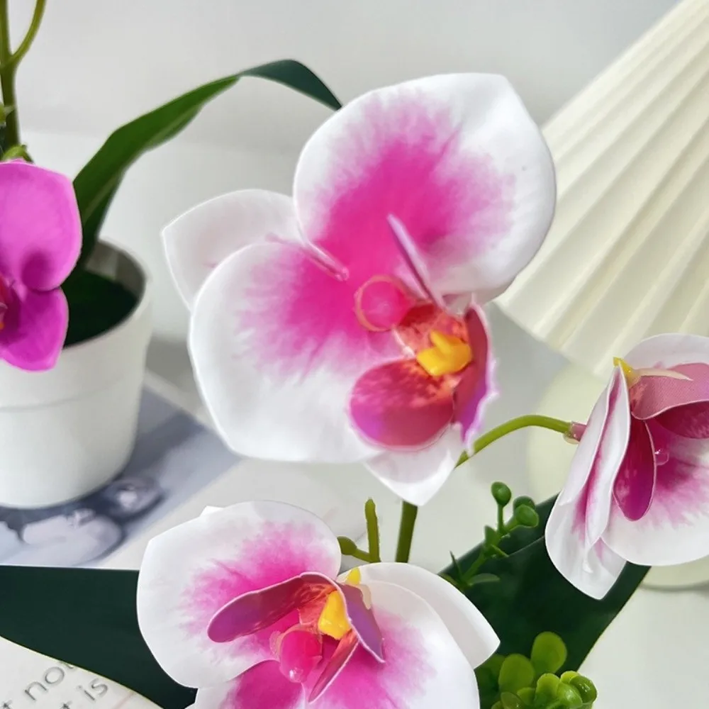 5 Blooms Artificial Orchid Arrangement Realistic Indoor Phalaenopsis Orchid Decor Compact Pink White Tabletop Floral Centerpiece