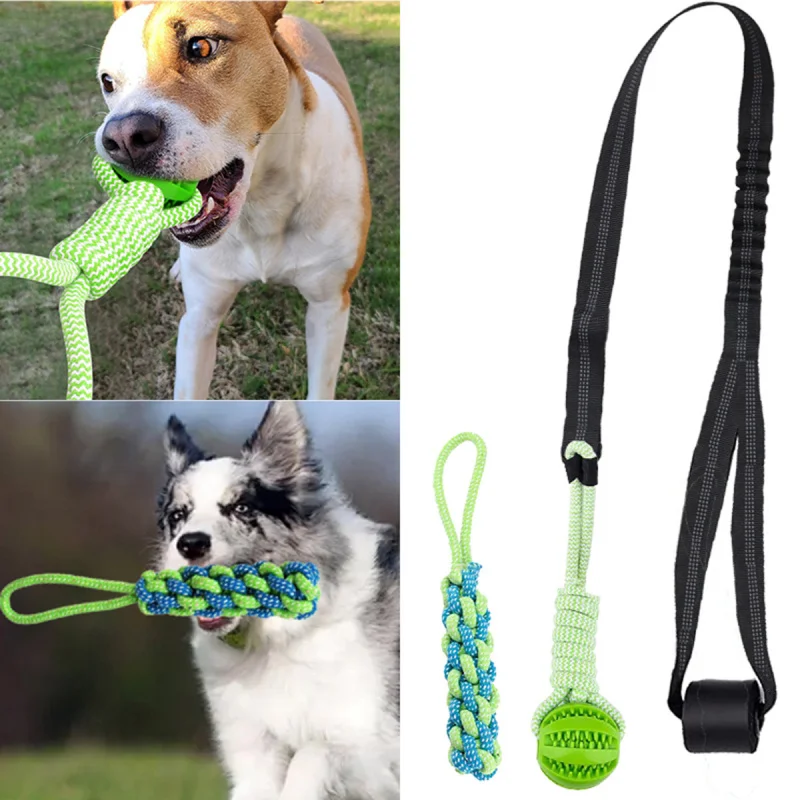 Dog toy set manufacturer wholesale cross-border popular pet supplies high-rebound interactive corn cob chew ball