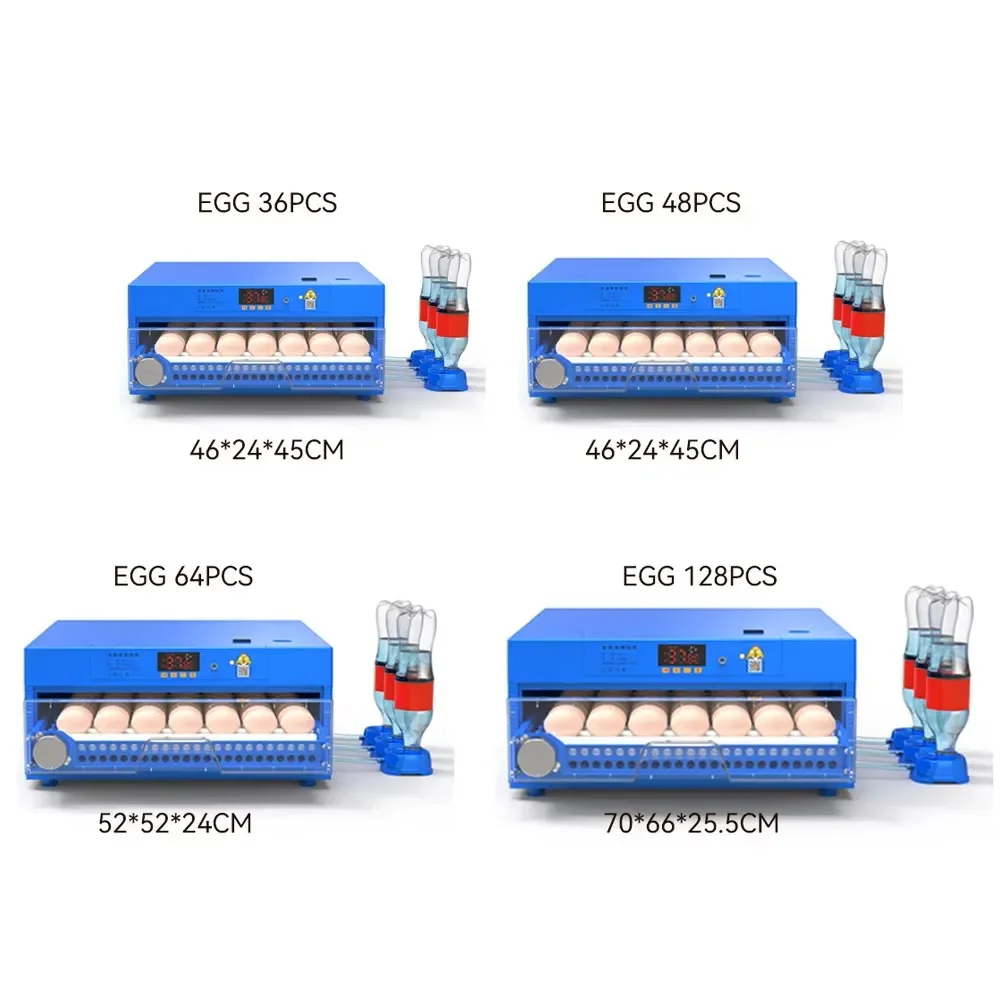 Automatic 36 PCS Egg Incubator,Electric 12v Dc 110-220v AC Power 35W, Duck Goose Chicken Quail,98% Incubation Rate