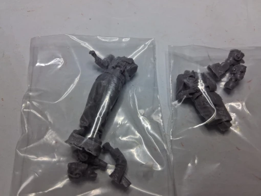 Buyer photo of this resin kit