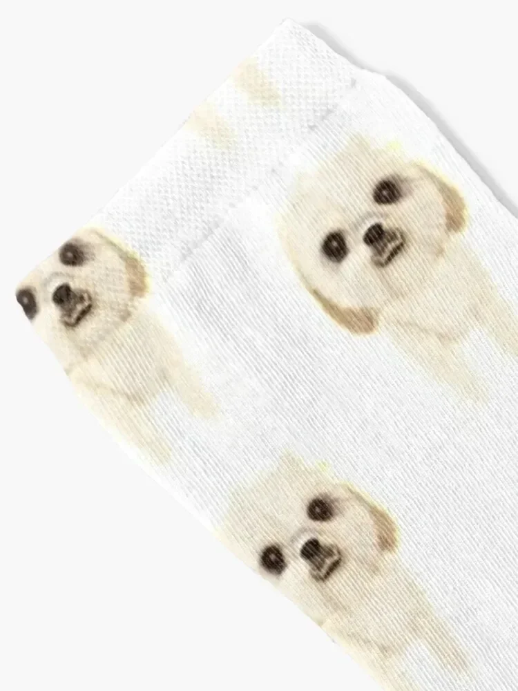 Bichon Shihtzu Puppy Socks Toe sports gym Socks For Women Men's