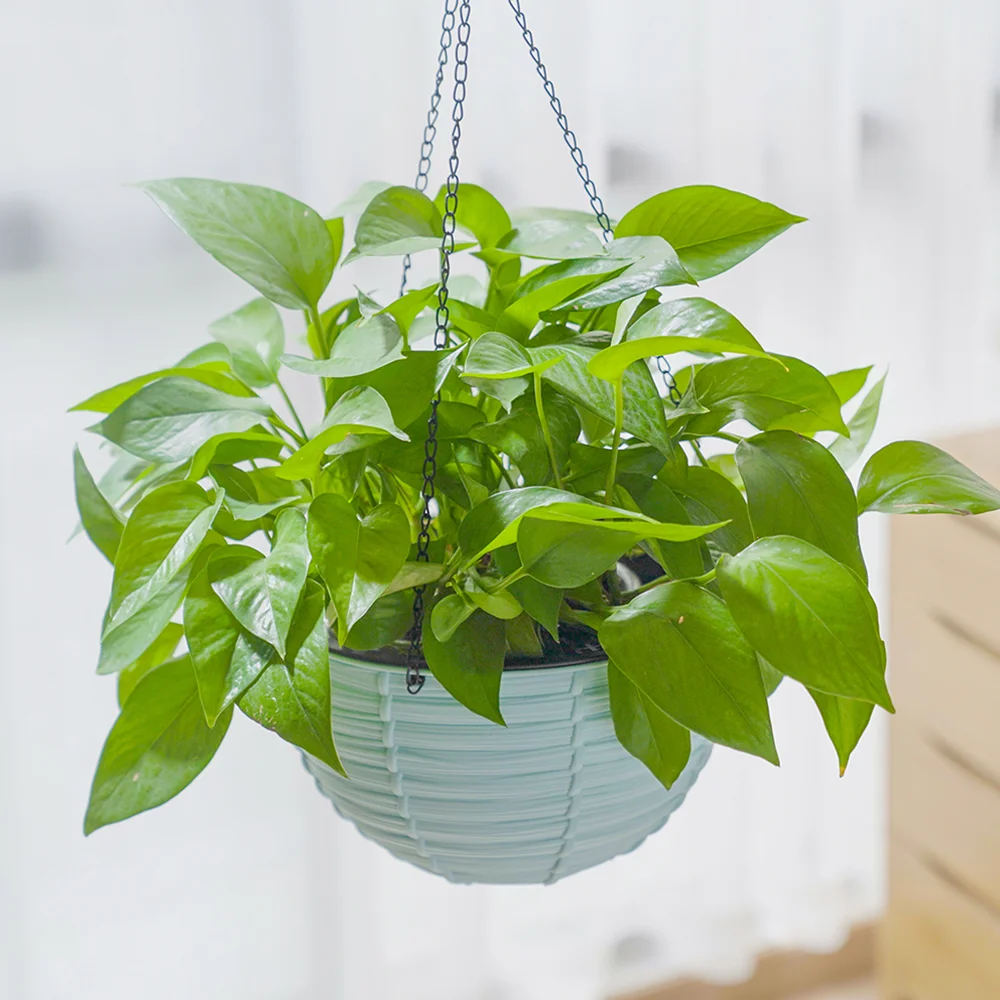 Indoor&outdoor plastic small round plant pot self watering hanging flowerpot decor planter holder for balcony desktop