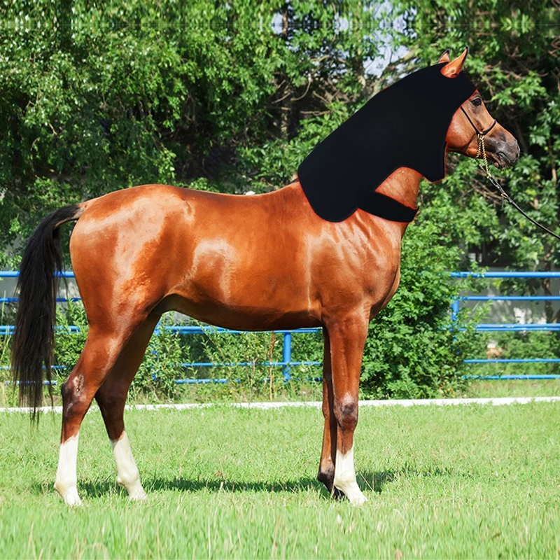 

Flexible Foldable Red Light Therapy Pad Horse Joint Inflammation Wound Healing Gear