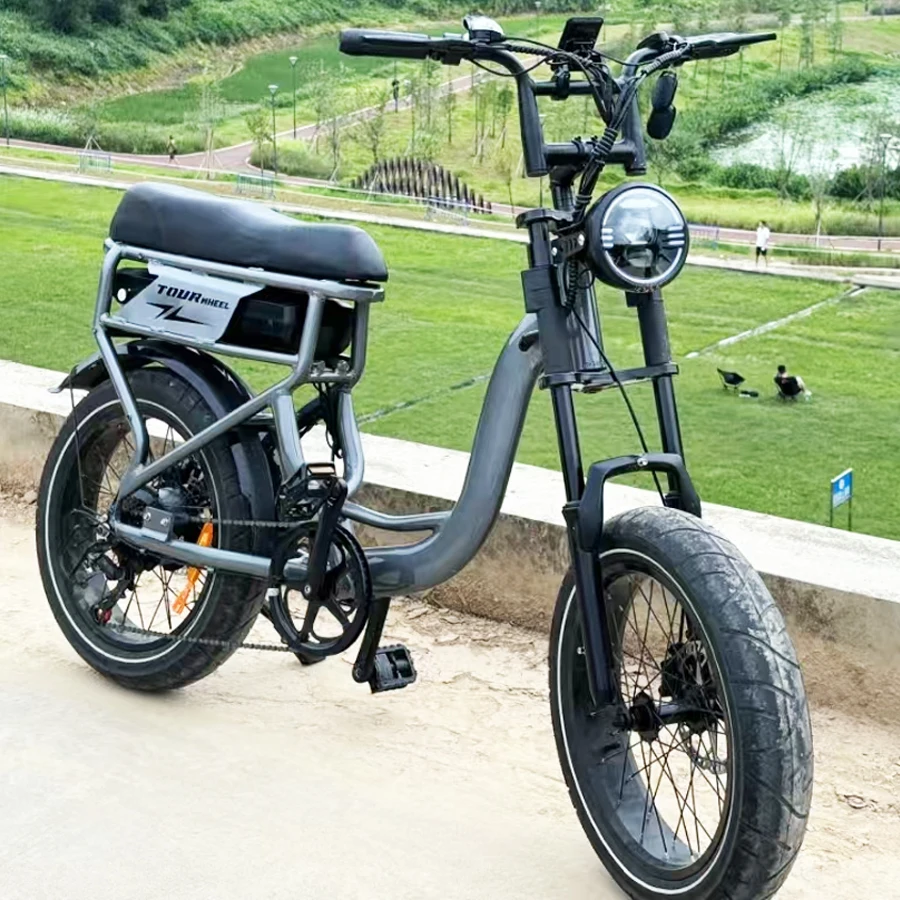 Factory Wholesale Electric Bicycle 48V 20 inch 250W 500W 750W 1000W 20*4.0 Fat Tire 25KM/H Mountain Motorcycl