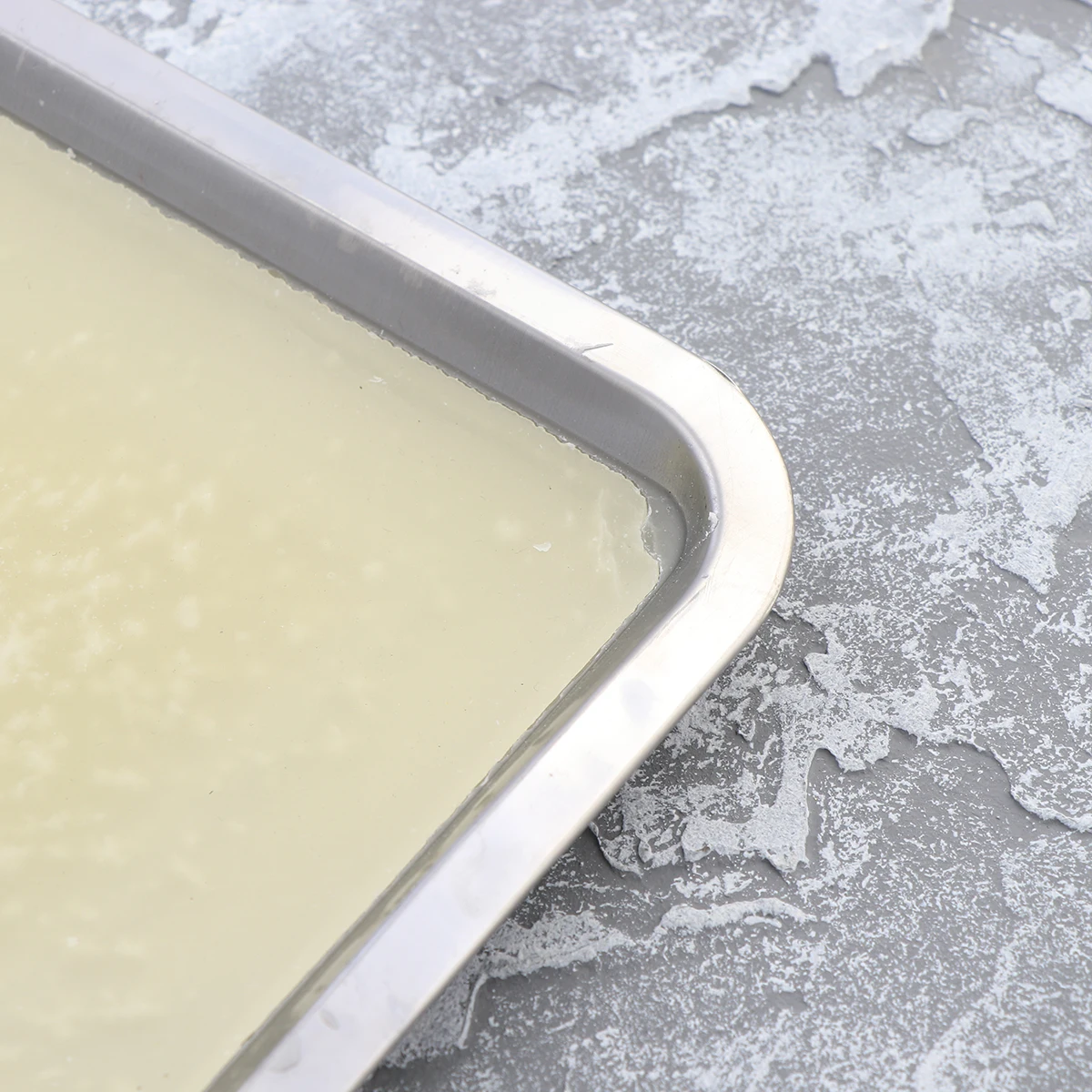 

2 Pcs Anatomical Dish Wax Tray Classroom Dissection Plate Junior Biological Laboratory Equipment