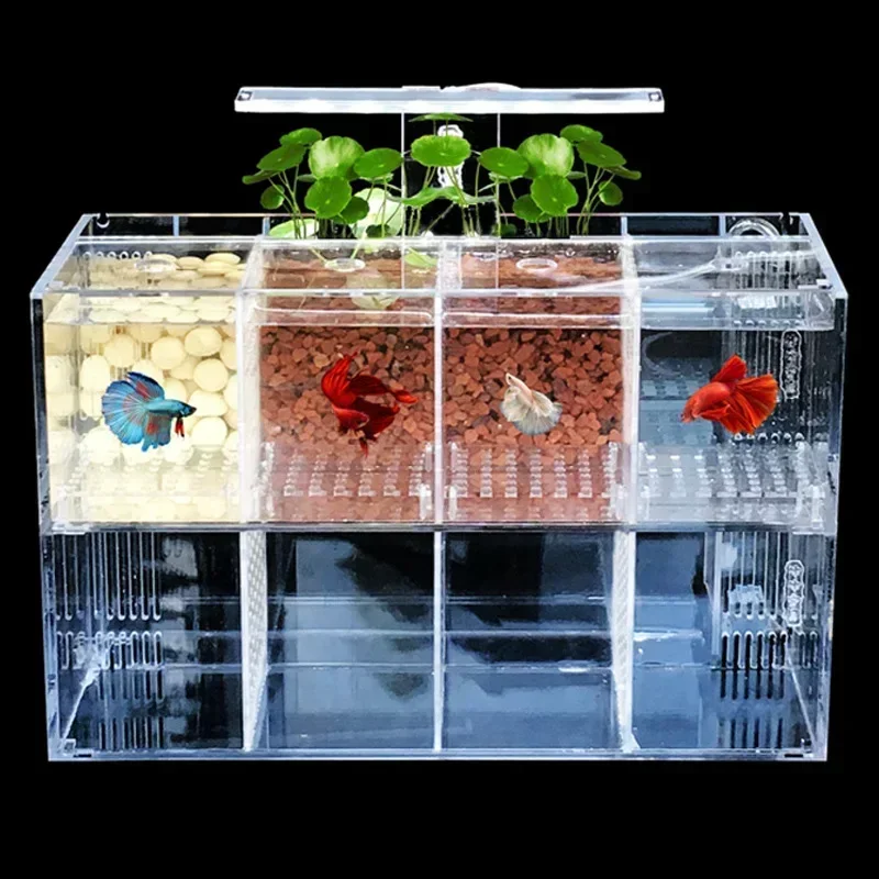 Aquarium Acrylic Isolation Fish Tank Multi-grid Stacking Transparent Breeding Box Goldfish Fighting Fish Ornamental Fish Box