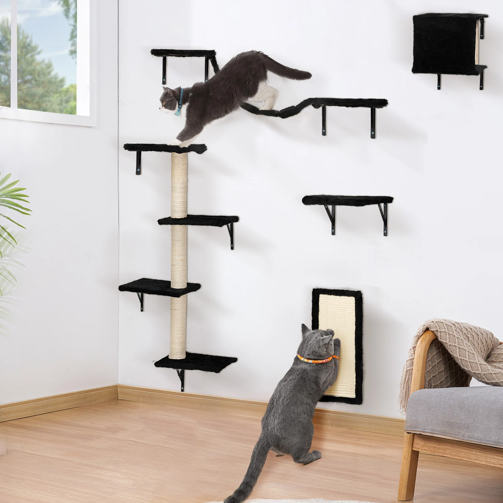 Cat Wall Shelves, Wall-Mounted Cat Climber Set of 5, Floating Cat Perches, Cat Furniture, Black