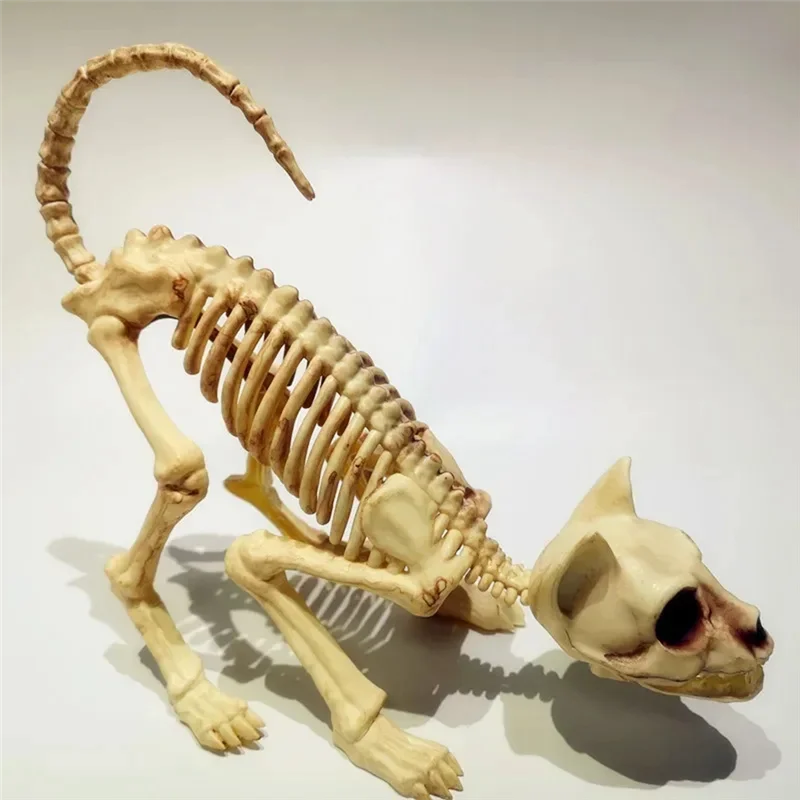 AINY-Creepy Animal Halloween Decoration Crouching Cat Skull Model For Party Trick