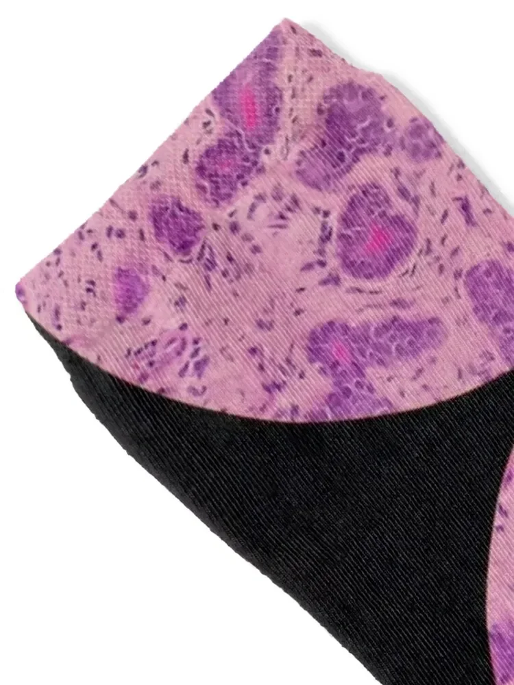 Histology of secreting glands, human tissue, H&E, 100x Socks cute cool designer essential Male Socks Women's