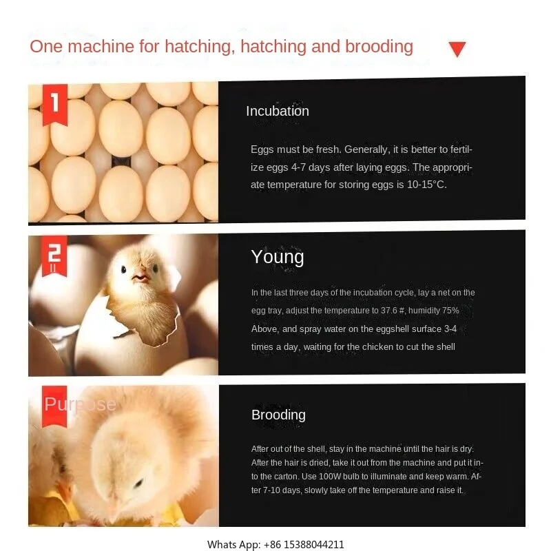 204/136 Eggs Intelligent Large And Medium-Sized Incubator Household Full-Automatic Incubator Chicken Duck Goose Quail Incubator