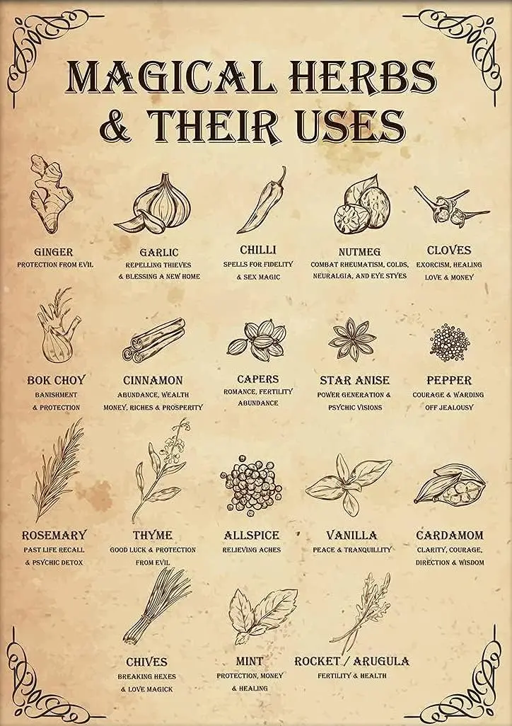 Wither Kitchen Witch Tin Sign Magical Herbs And Their Uses Witchy Retro Metal Poster Cafe Bar Pub Home Wall Decoration Poster Pl