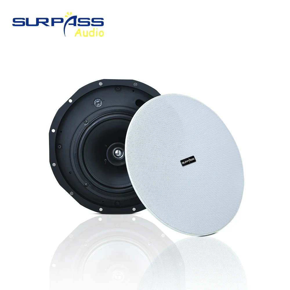 مكبر صوت راحة محوري عالي الجودة مقاس 8 بوصة مكبر صوت سلبي داخل السقف 100 فولت/70 فولت/16 أوم نظام صوت PA قوي لمتجر السوبر ماركت #5