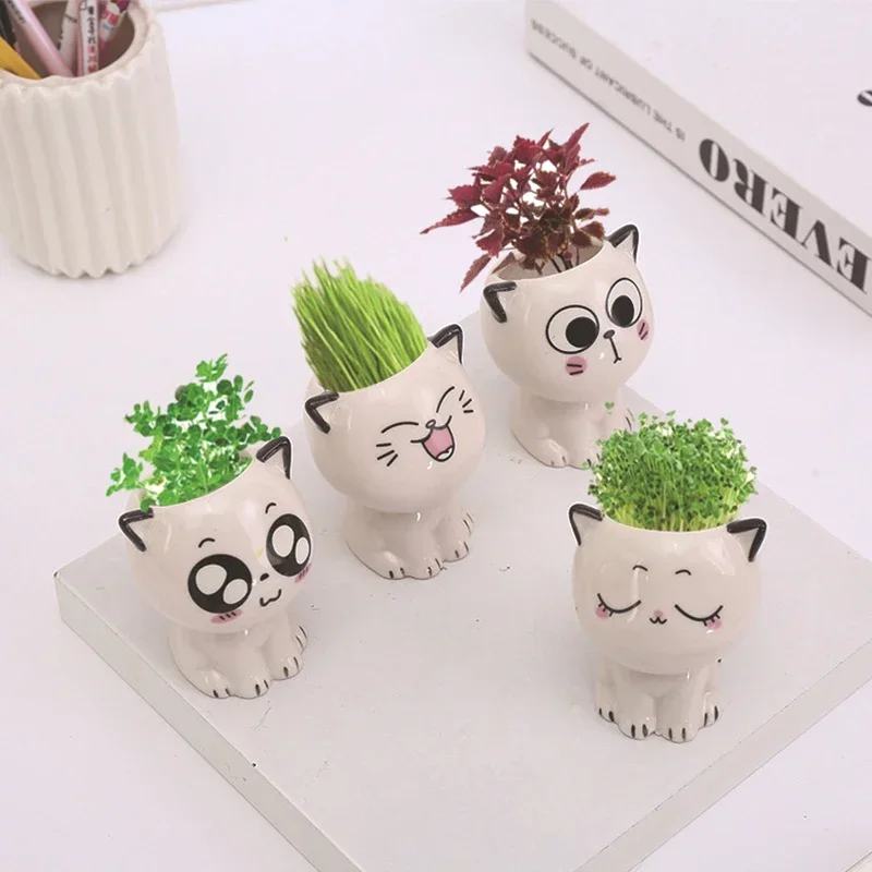 

New Cartoon Cat Flower Pot Miniature Animal Figurine Home Office Decoration Decompression Artifact Crafts Succulent Flower Pot