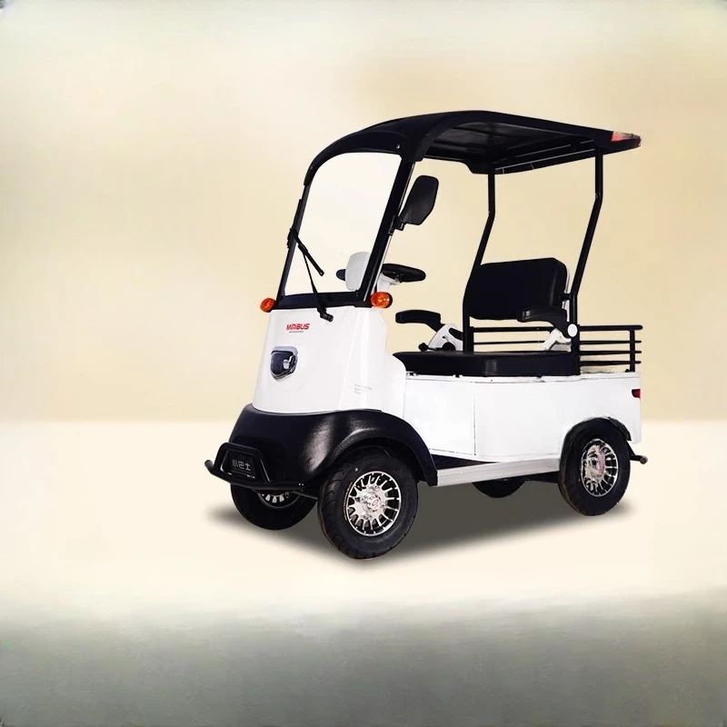 

Elderly transportation New four-wheeled elderly people help pick up and drop off children Transportation Women with shed