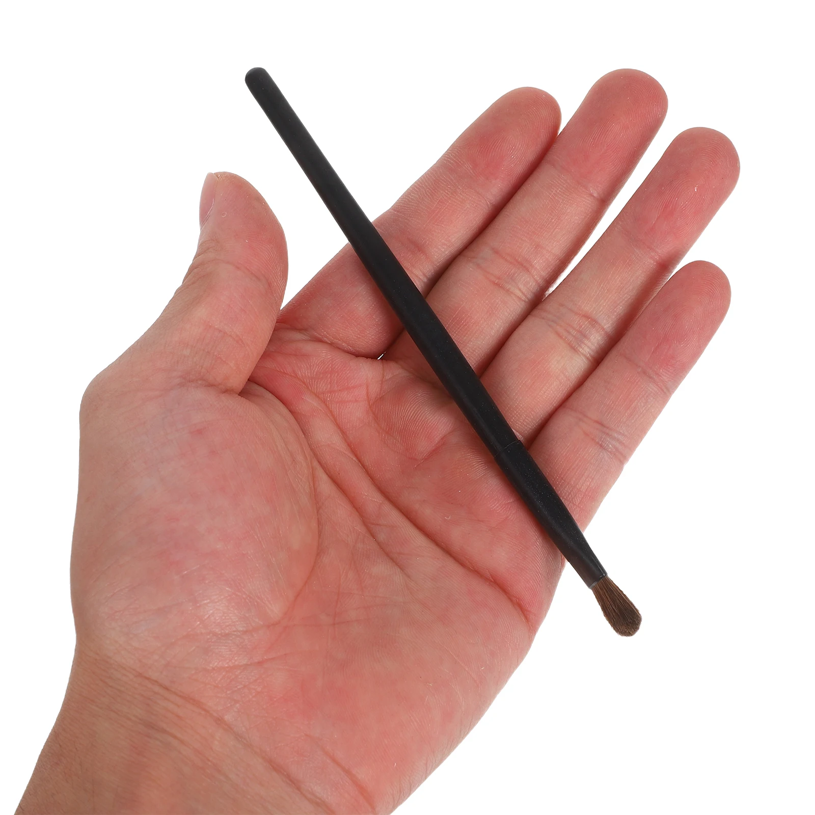 5-delige draagbare oogmake-up mengborstels Eyeliner oogschaduwborstelset Natuurlijke kleurweergave Uniform voor dagelijkse toepassingen