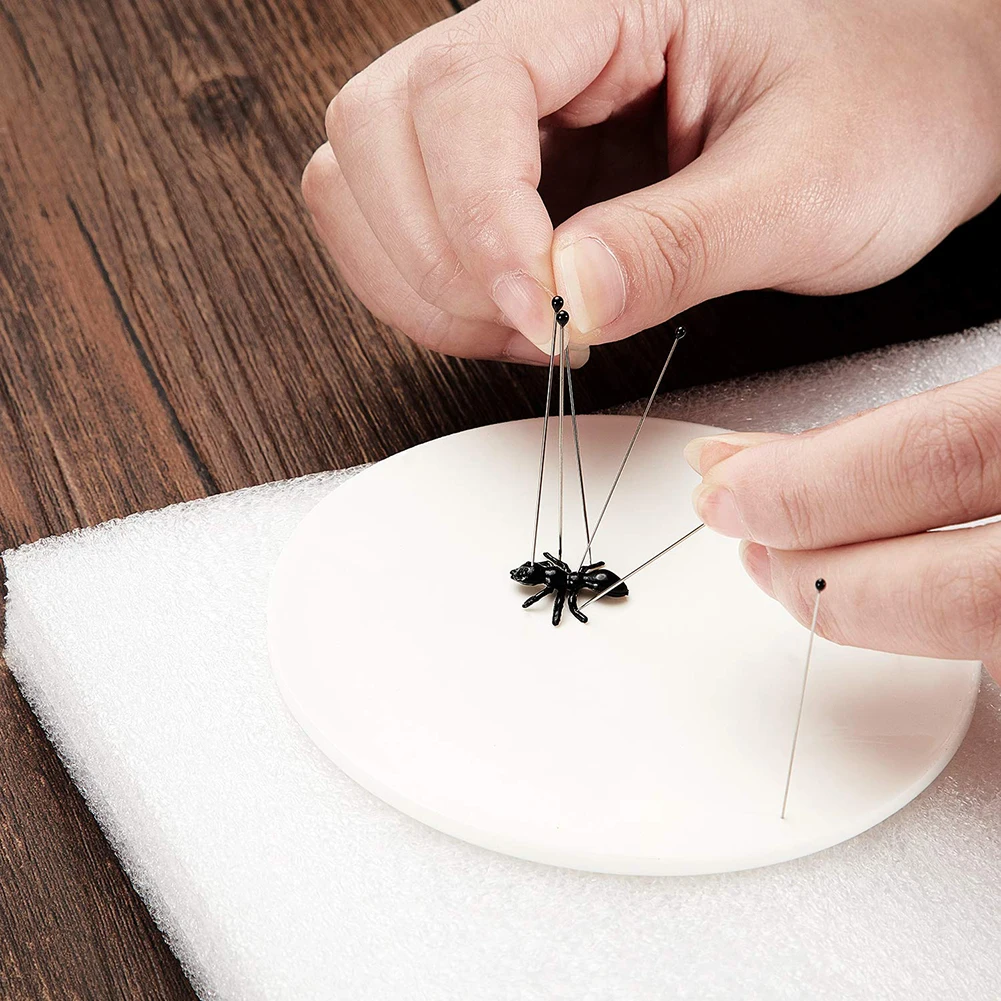 100PCS/Lot Insect Pins Specimen Pins Stainless Steel With Plastic Box For School Lab Entomology Dissection Wholesale