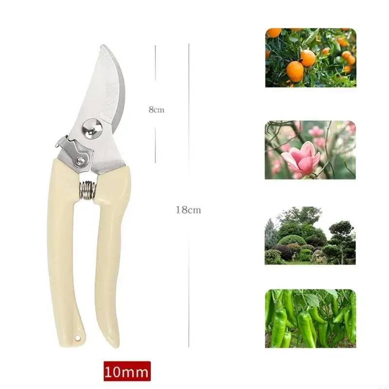 

2Pcs Garden Pruning Shears Steel Garden Shears Gardening Shears Gardening Scissors Garden Clippers Pruning Snips