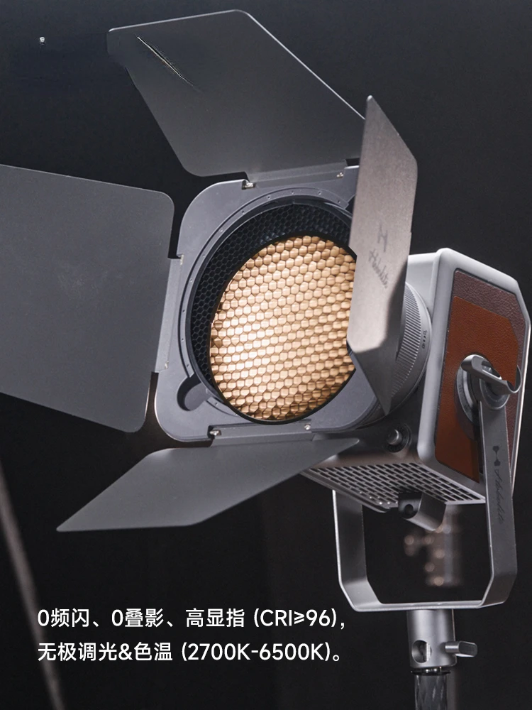 Pro300w Dual-Drive Portrait Master Photographer Special Photography LED Light Live Streaming Fill  Studio