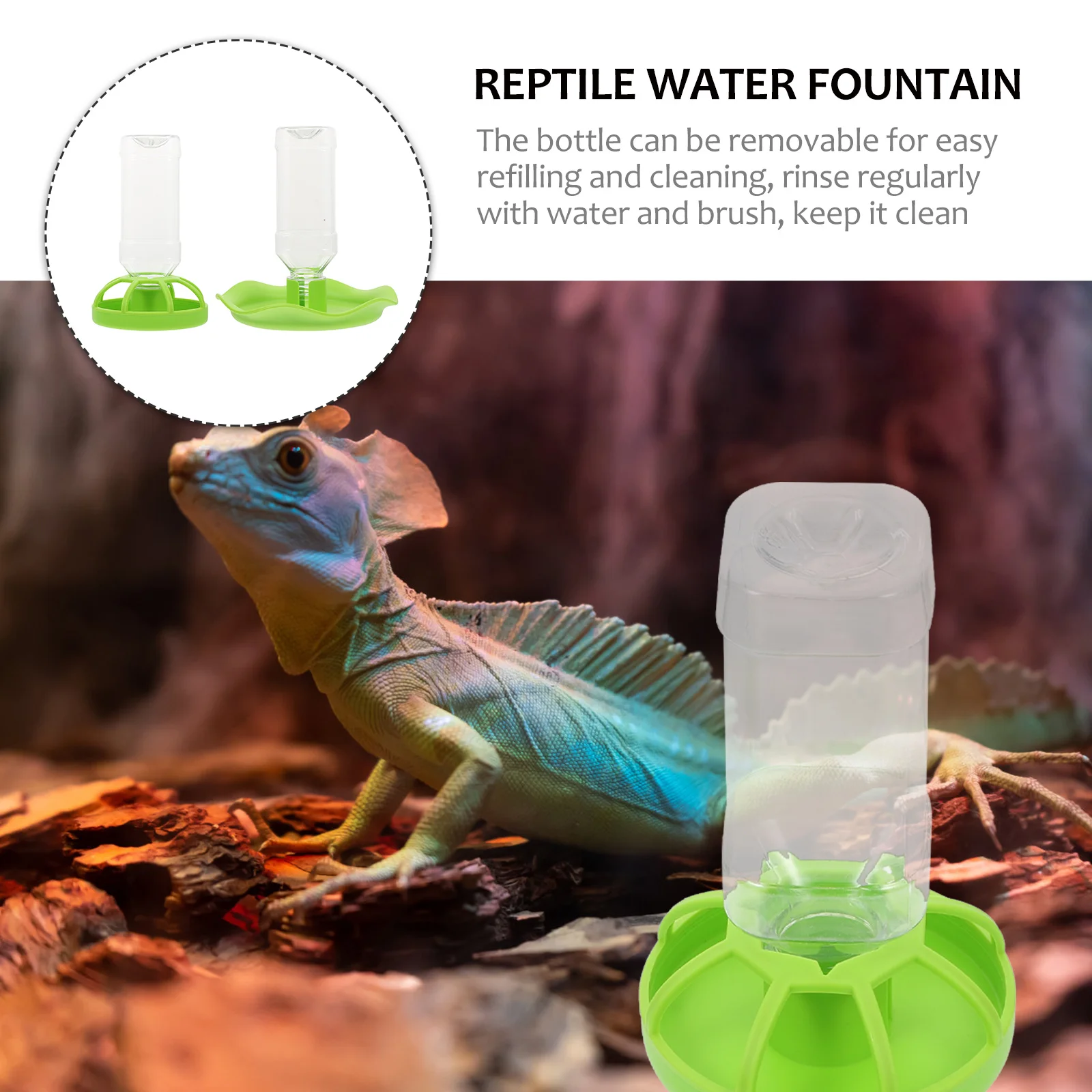 

2 set Reptile Water Feeders Crawling Pet Food Feeder Lizard Drinking Tool Water Storage Plate For Pet Supplies Green