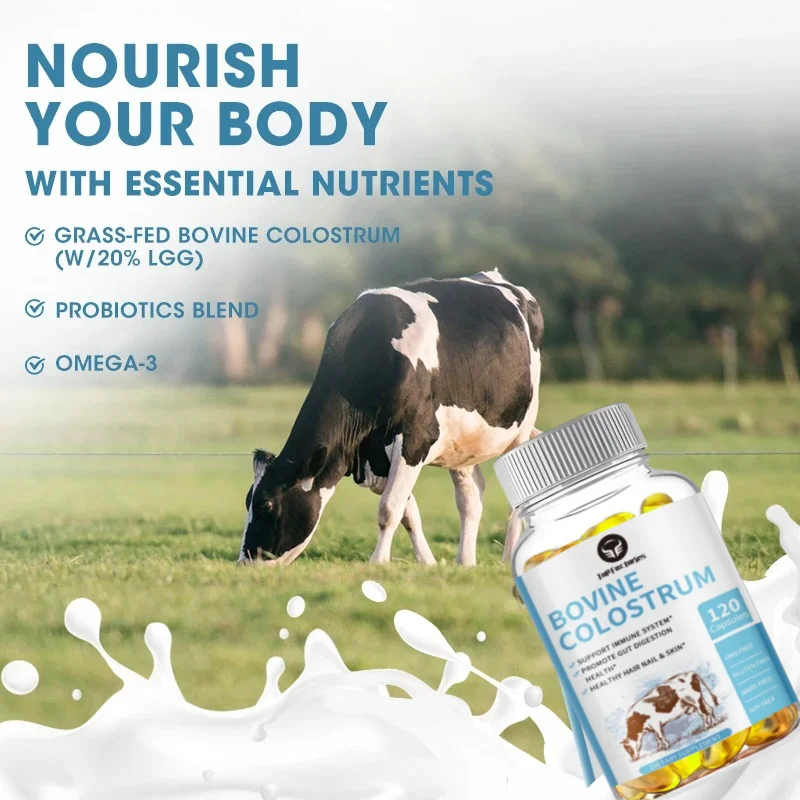 Top Factories Probiotic Bovine Colostrum Capsules Support Intestinal And Digestive Hair, Nails, Skin And Muscle