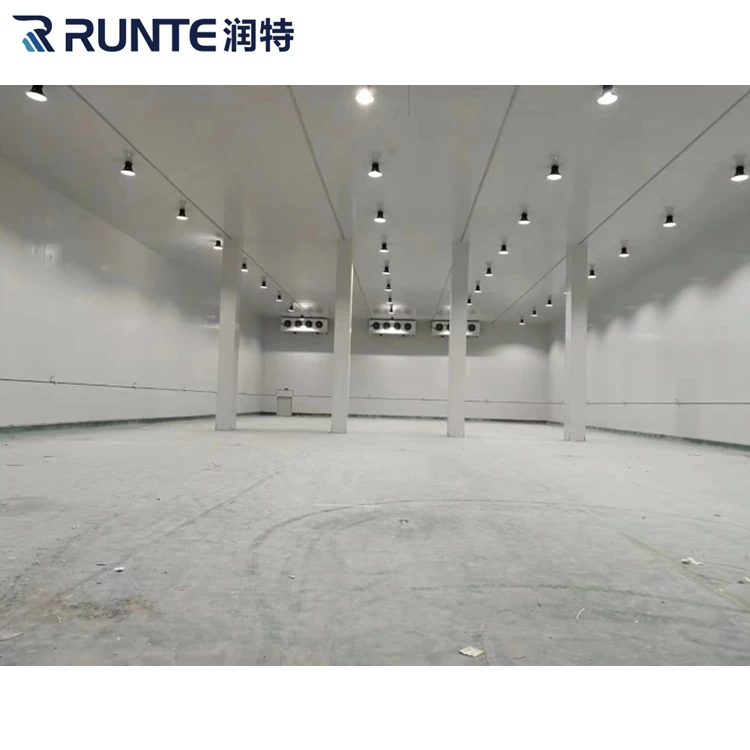 Sala frigorifera per frutta e verdura