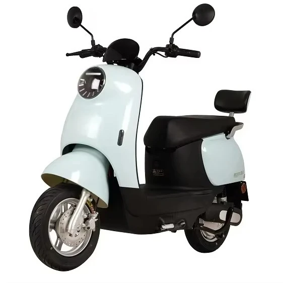 High-Power 800W Lithium Lead-Acid Motorcycle Battery for Men & Women Daily Commuting