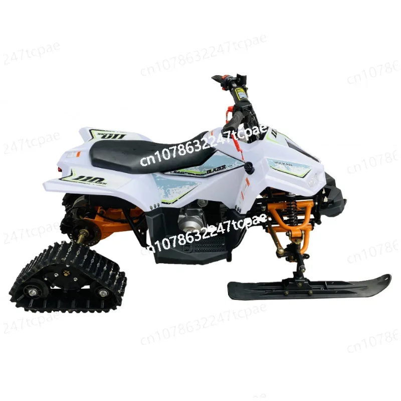 Snow Tracker Gasoline Ice Snow Amusement Equipment Fuel Sleigh Venue Rental Off-Road Beachmobile