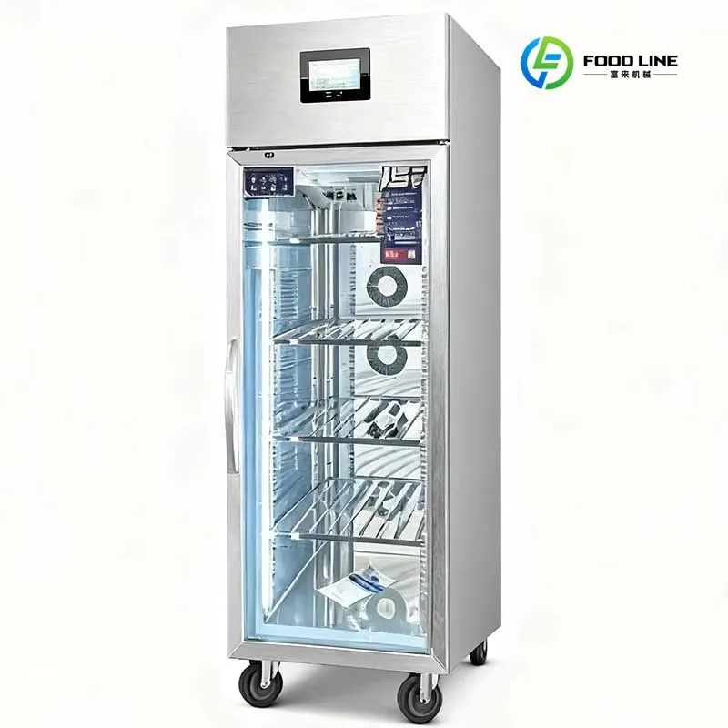 FL Wholesale Kitchen  Defrost Cabinet Air-Cooled Low-Tem High-Humidity Single-Door  Frost-Free CE  Thawing Cabinet Customized