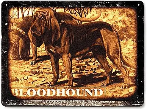 Bloodhound hunting dog metal sign/funny pet shop vintage style wall decor art 321 sign sign sign