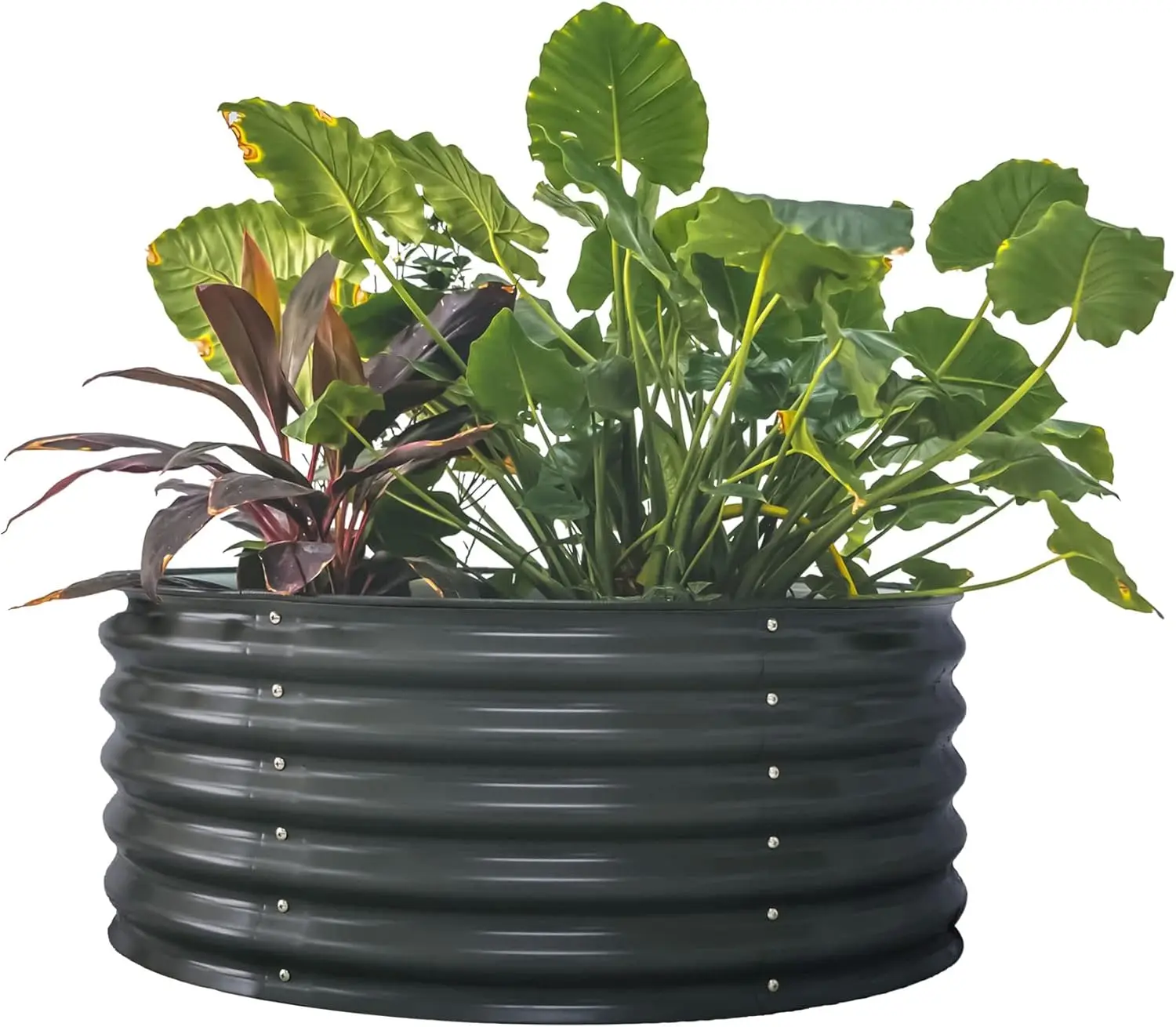 

17" Tall 42" Round Raised Garden Bed Metal Raised Bed Planter Box for Vegetables Flowers Patio, Modern Gray