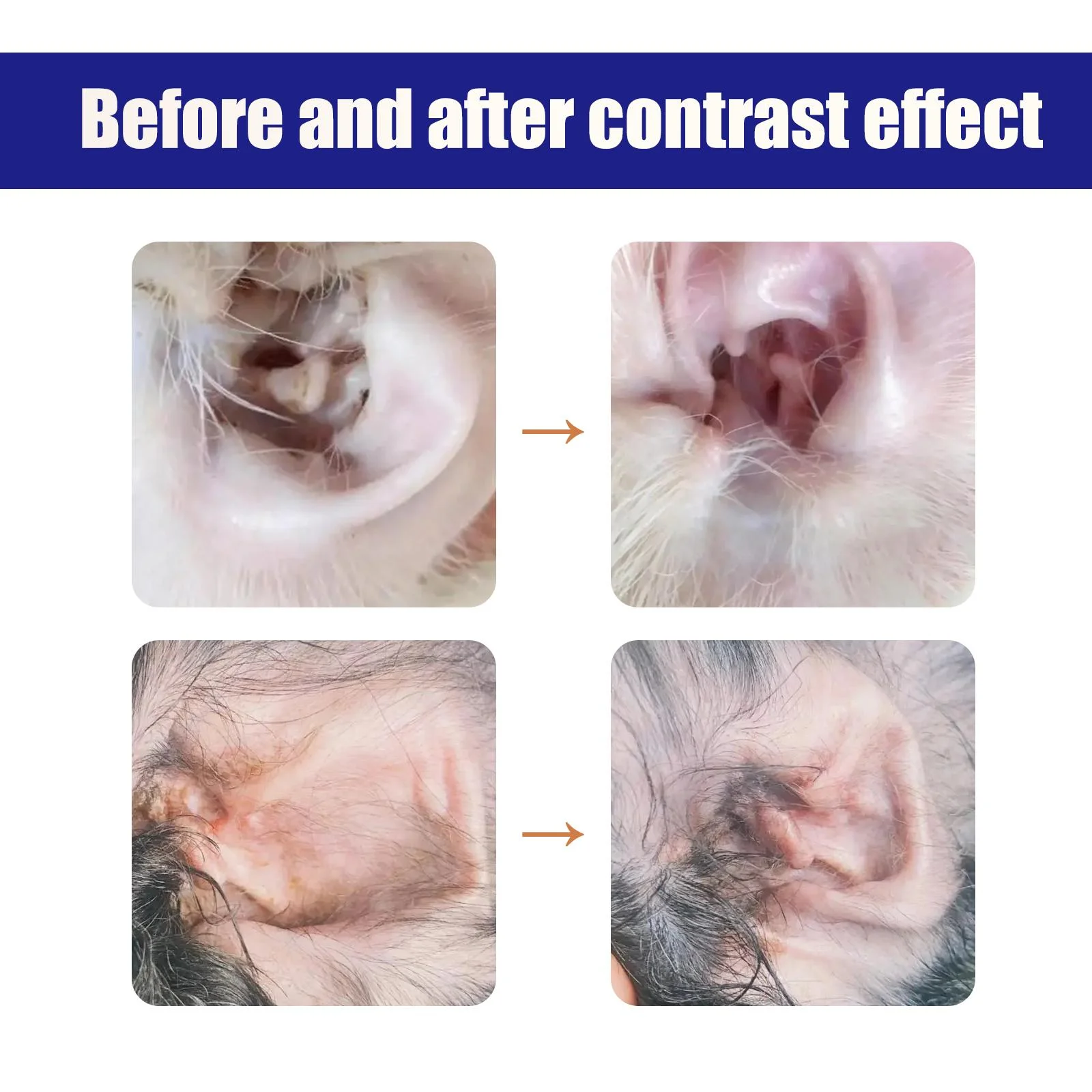 50 ml Pet Ear Drops Gentle Cleaning Ear Mites And Earwax In Cats & Dogs Inhibiting Ear Bacteria