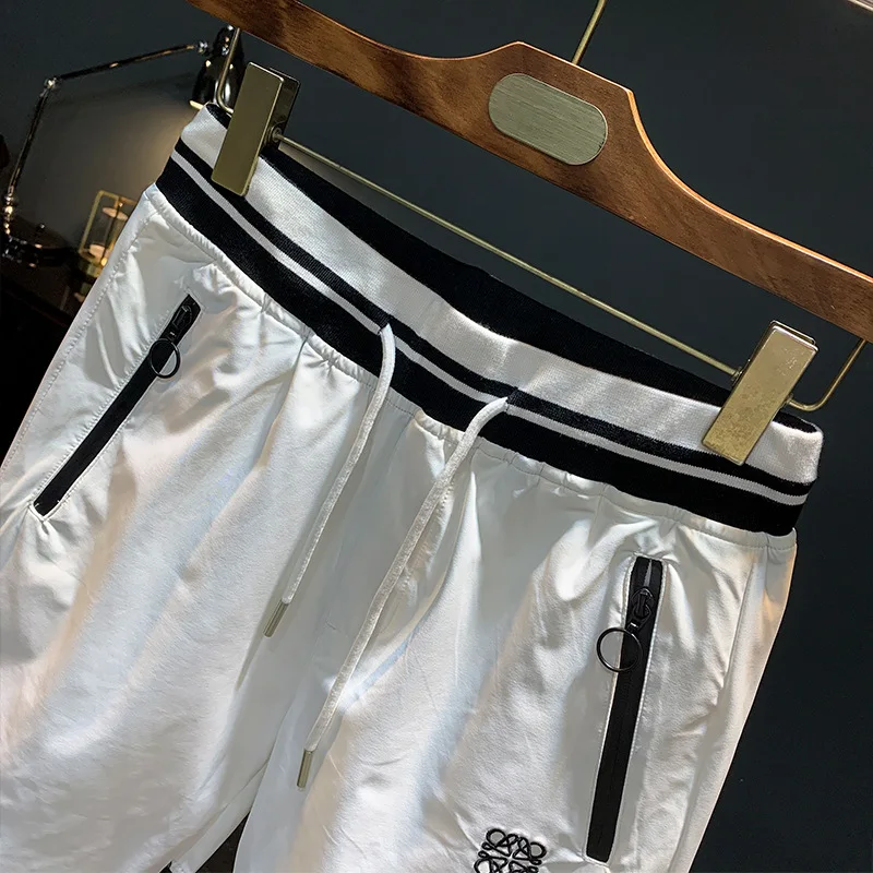 2025 summer new light luxury shorts men's straight leg loose and fashionable embroidered printed quick drying casual beach pants