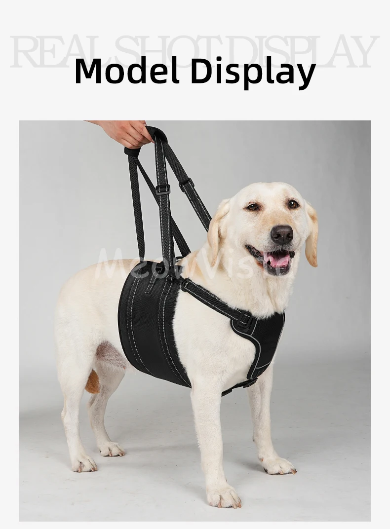 Dog Lift Harness Adjustable Reflective Rehabilitation Support Sling Mobility Aid for Old Injured Medium Large Dog Walking Assist