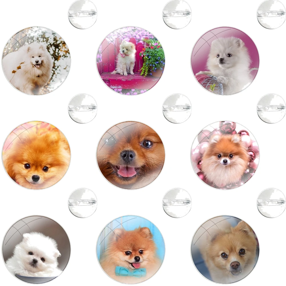 Cute Pet Pomeranian Dog Pins Badge Metal Brooches For Clothes Backpack Decoration gift