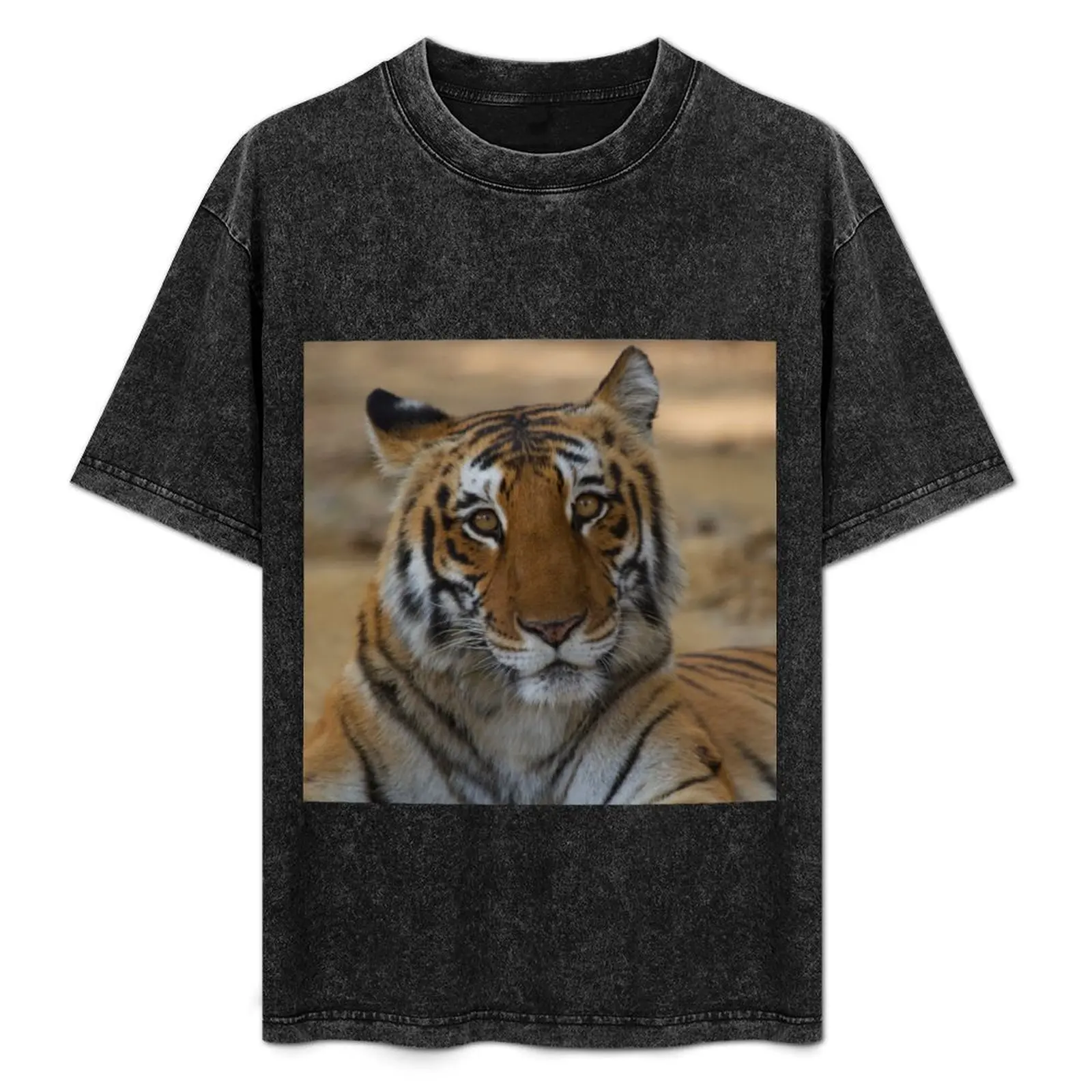 royal bengal tiger portrait T-Shirt shirts graphic aesthetic clothes shirts graphic tee mens graphic t-shirts