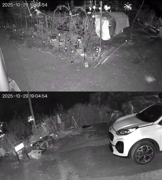 리뷰 사진