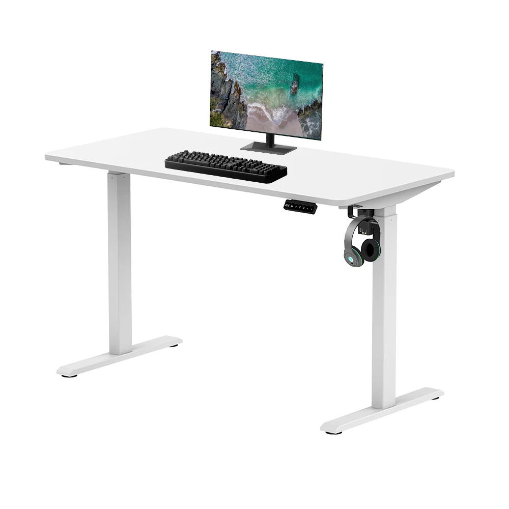 Modern Office Home Furniture Metal Frame Stand up Electric Lift Desk Single Motor Height Adjustment Computer Desk