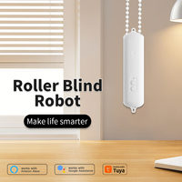 Rechargable Roller Blind Robot Automatic Curtain Bot Motorised Shutter Opener Support Alexa Google Assistant Siri Voice Control