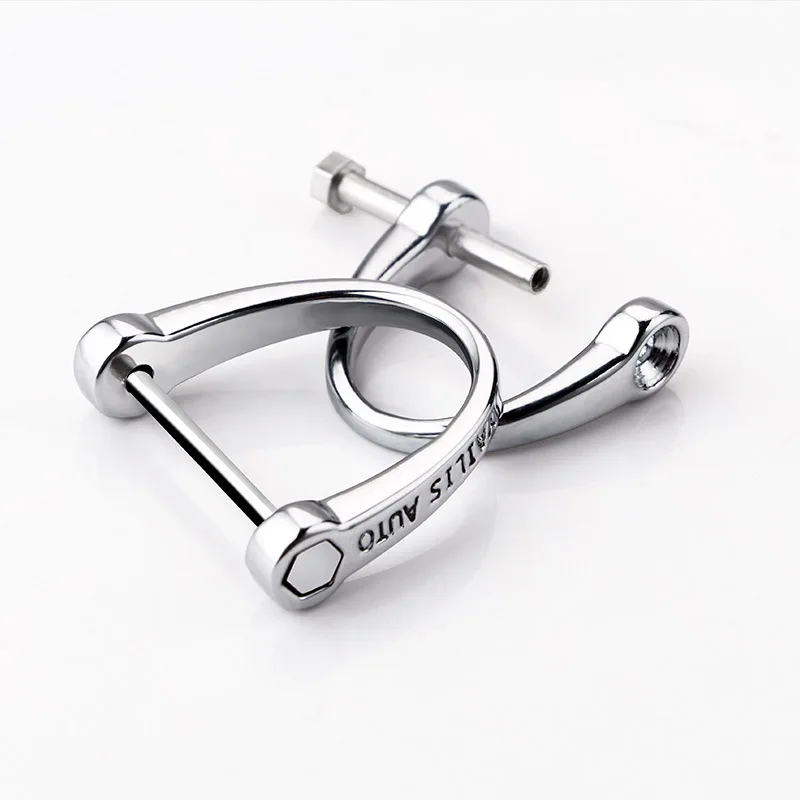 Car Key Ring High-Grade Hardware Zinc Alloy Vachette Clasp Car Accessories Key Chain and Case Set D-Type Buckle keychain charms