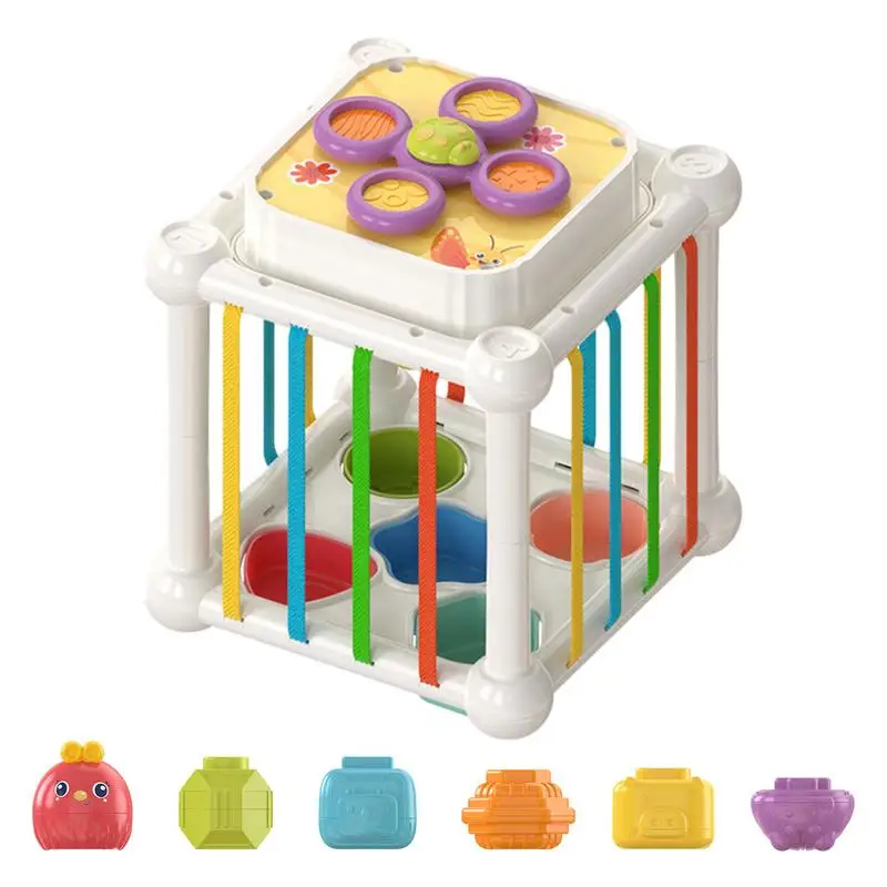 

Baby Sensory Bin Shape Sorter Colorful Cube Sorting Game Shape Blocks Montessori Educational Toys Game For Boy Girl