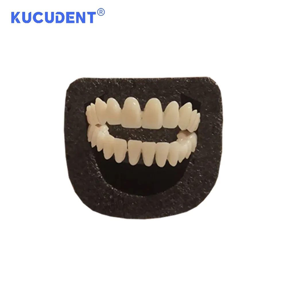 KUCUDENT 28 Pz Dentale Acrilico Resina Sintetica Denti Protesi Falso Falso Superiore Inferiore Anteriore Bocca Completa Ombra A2/A3